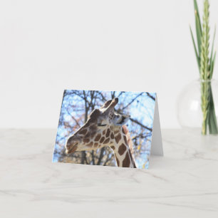 Giraffe Kaart