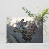 Giraffe Kaart (Staand voorkant)