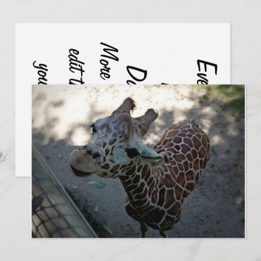 Giraffe Kaart (Voorkant / Achterkant)