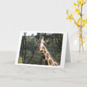 Giraffe Kaart (Gele Bloem)