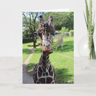 Giraffe Kaart