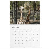 Giraffe Kalender (Mar 2026)