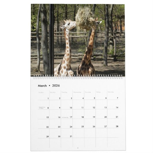 Giraffe Kalender (Mar 2026)