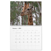 Giraffe Kalender (Feb 2026)