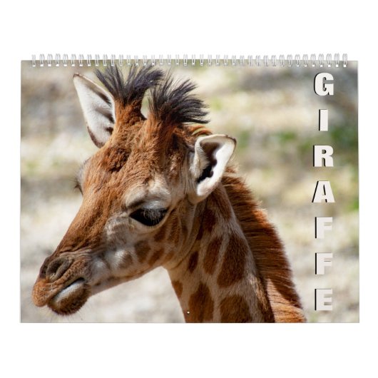 Giraffe Kalender (Hoes)