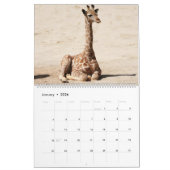 Giraffe Kalender (Jan 2026)