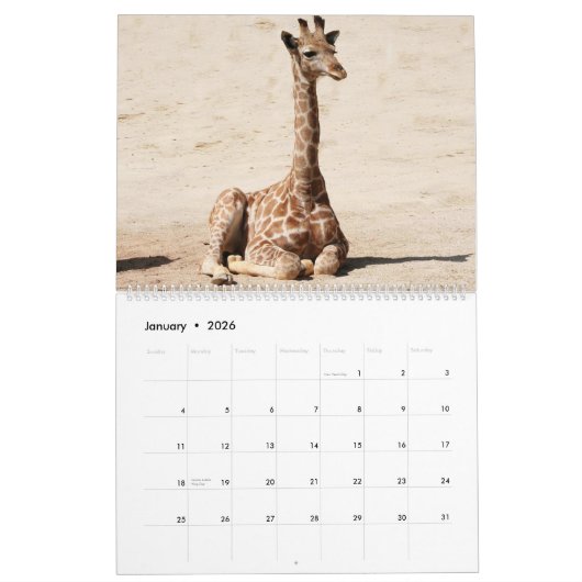 Giraffe Kalender (Jan 2026)