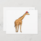 Giraffe Kap Briefkaart (Voorkant / Achterkant)