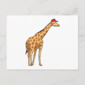 Giraffe Kap Briefkaart (Voorkant)