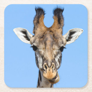 Giraffe Kartonnen Onderzetters