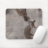 Giraffe, Kenia, Afrika Muismat (Met muis)