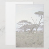 Giraffe, Kenia Briefpapier (Voorkant / Achterkant)
