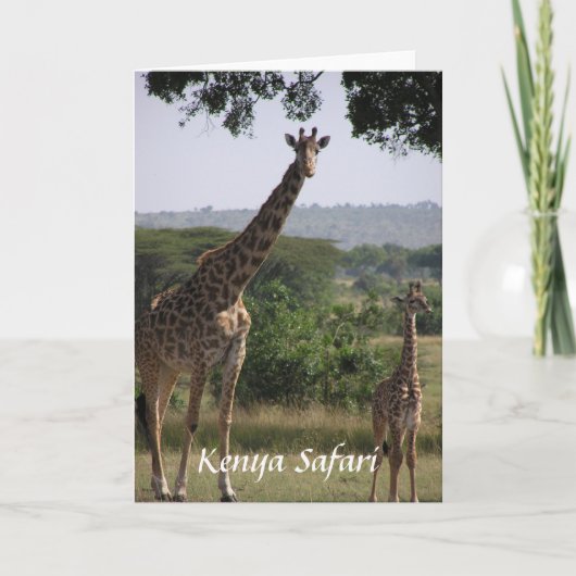 Giraffe, Kenia Safari Kaart (Voorkant)