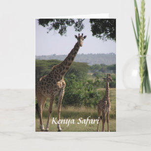 Giraffe, Kenia Safari Kaart