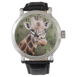 Giraffe kijken horloge