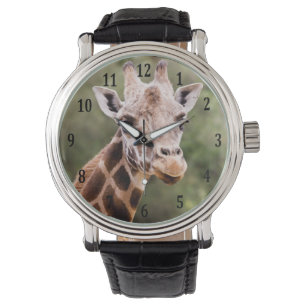 Giraffe kijken horloge