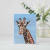 Giraffe kijkt naar me briefkaart (Staand voorkant)