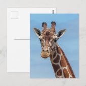 Giraffe kijkt naar me briefkaart (Voorkant / Achterkant)