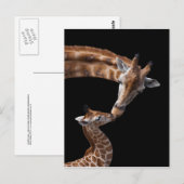 Giraffe Kisses Briefkaart (Voorkant / Achterkant)