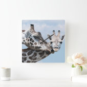 Giraffe Kisses her Calf Vierkante Klok (Huis)