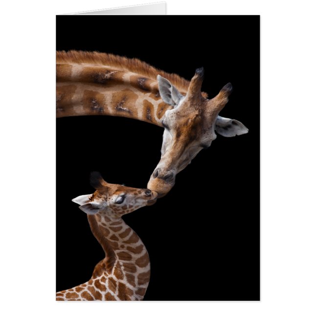 Giraffe Kisses-kaart (Voorkant)