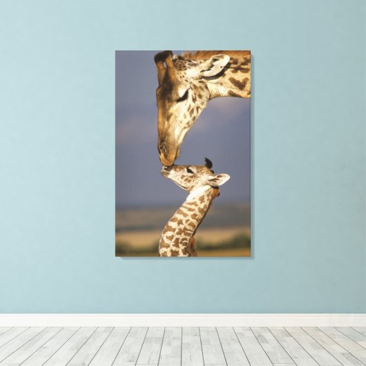 Giraffe KissingBaby Giraffe Canvas Afdruk (Insitu (Houten vloer))