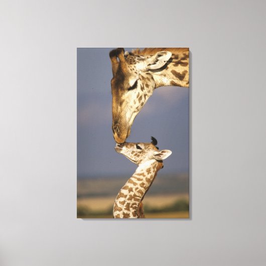 Giraffe KissingBaby Giraffe Canvas Afdruk (Voorkant)