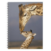 Giraffe KissingBaby Giraffe Notitieboek (Voorkant)