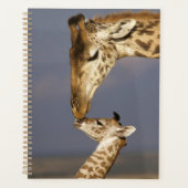 Giraffe KissingBaby Giraffe Planner (Voorkant)