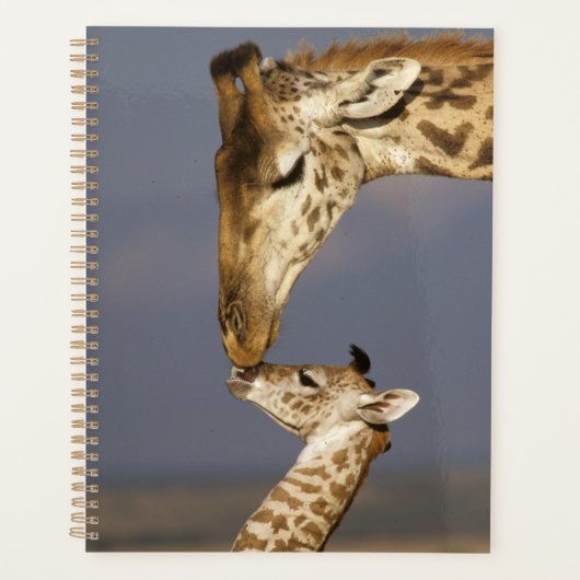 Giraffe KissingBaby Giraffe Planner (Voorkant)