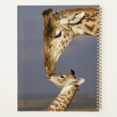 Giraffe KissingBaby Giraffe Planner (Achterkant)