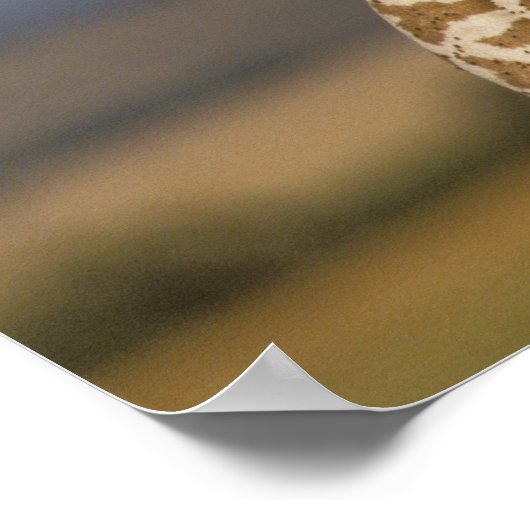 Giraffe KissingBaby Giraffe Poster (Hoek)