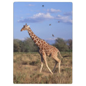 Giraffe Klembord (Achterkant)