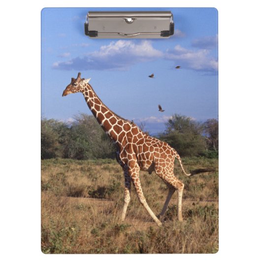 Giraffe Klembord (Voorkant)