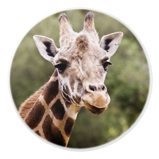 Giraffe knop (Voorkant)