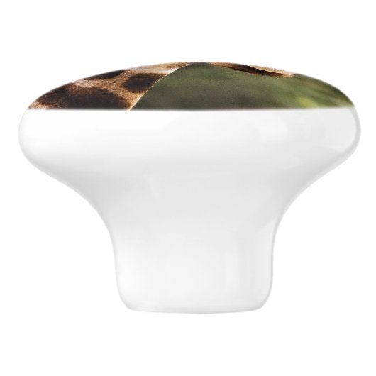Giraffe knop (Zijkant)