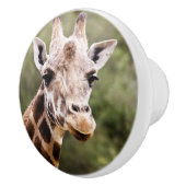 Giraffe knop (Rechts)