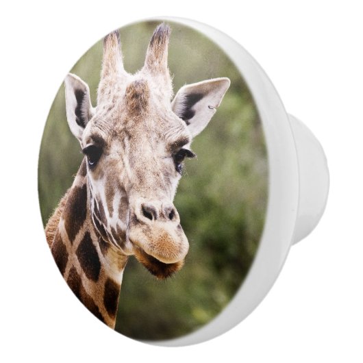 Giraffe knop (Rechts)