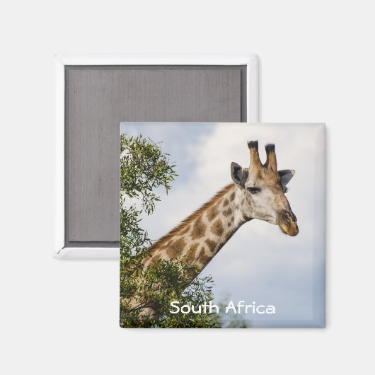 Giraffe Koelkast Magnet - Zuid-Afrika (Voorkant / Achterkant)