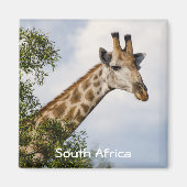 Giraffe Koelkast Magnet - Zuid-Afrika (Voorkant)