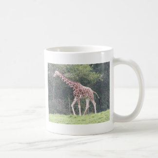 Giraffe Koffiemok
