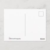 Giraffe komt dicht bij briefkaart (Achterkant)