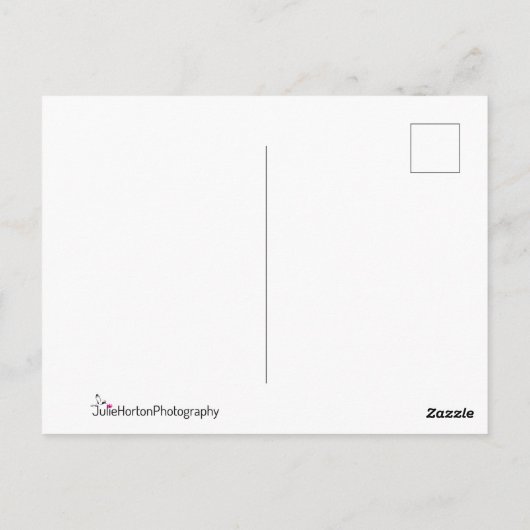 Giraffe komt dicht bij briefkaart (Achterkant)