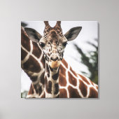 Giraffe kop Giraffe print Afrikaans dier (Voorkant)