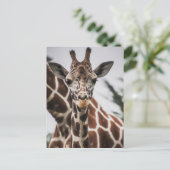 Giraffe kop Giraffe print Afrikaans dier Briefkaart (Staand voorkant)