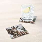 Giraffe kop Giraffe print Afrikaans dier Kartonnen Onderzetters (Insitu)