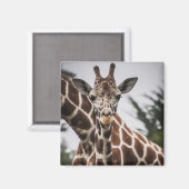 Giraffe kop Giraffe print Afrikaans dier Magneet (Voorkant / Achterkant)