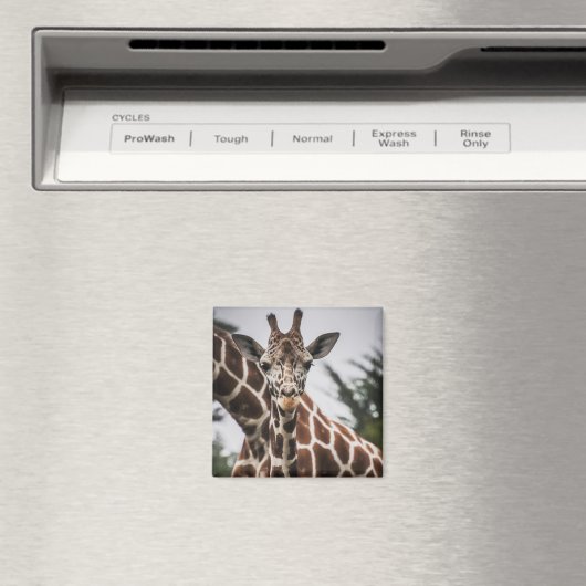 Giraffe kop Giraffe print Afrikaans dier Magneet (Insitu (Vaatwasser))