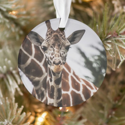 Giraffe kop Giraffe print Afrikaans dier Ornament (Boom)
