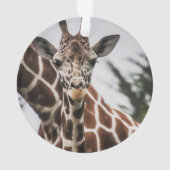 Giraffe kop Giraffe print Afrikaans dier Ornament (achterkant)